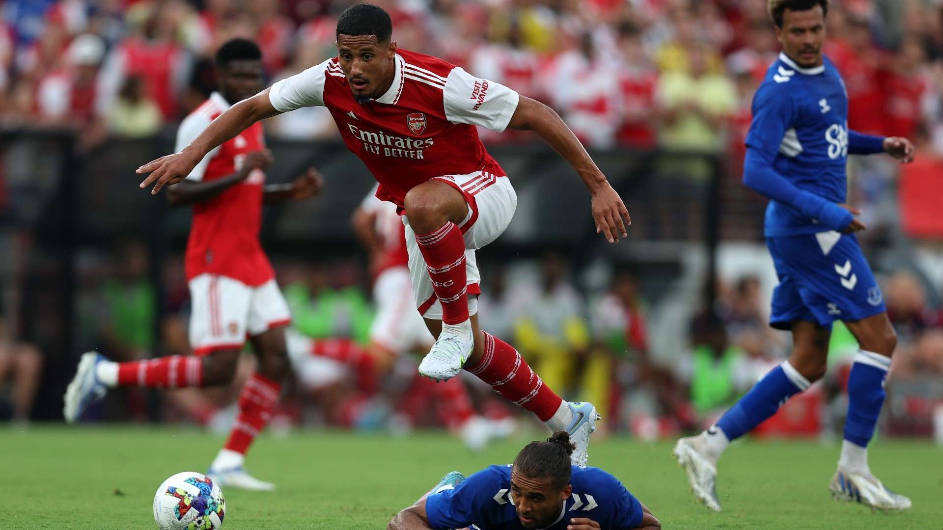 女排成年组 女排成年组