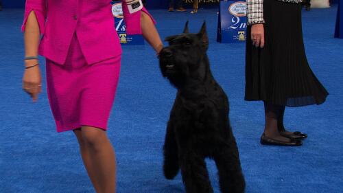 运动会策划与执行